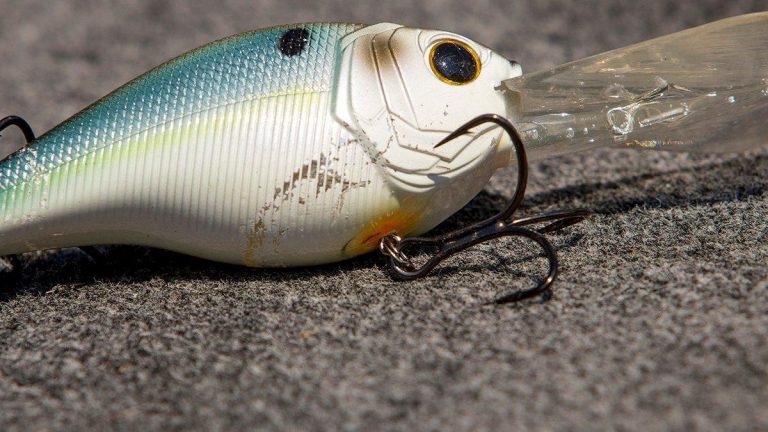 6th Sense Cloud Crankbait Review Wired2Fish, 56% OFF