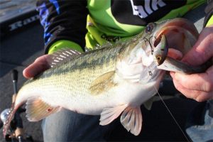 Finesse Cranking Cold Winter Bass