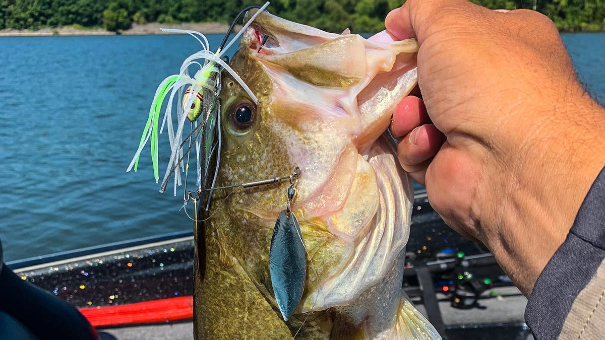 Double willow vs tandem spinnerbait - Fishing Tackle - Bass Fishing Forums