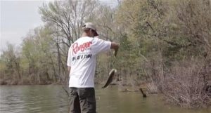 Tips for Flipping Flooded Wood in the Early Spring