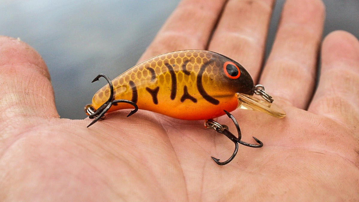 5 Bass Fishing Baits for Shallow, Cold Water - Wired2Fish