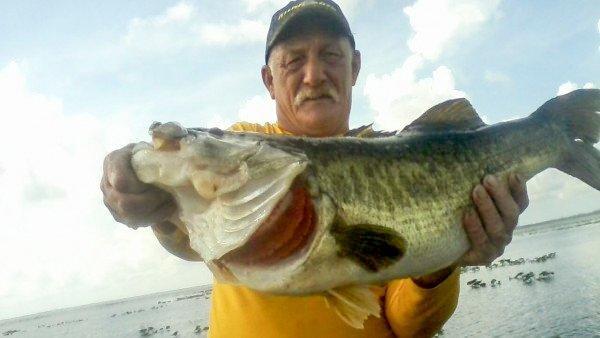 Potential Florida State Record Bass Caught
