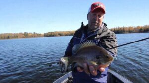 Tips for Fall Offshore Panfish