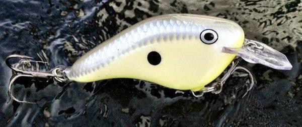 Rapala DT Flat Review