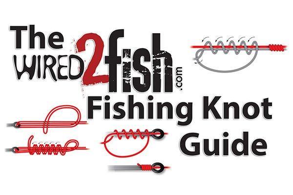 Best Fishing Knots Every Angler Should Know - Wired2Fish