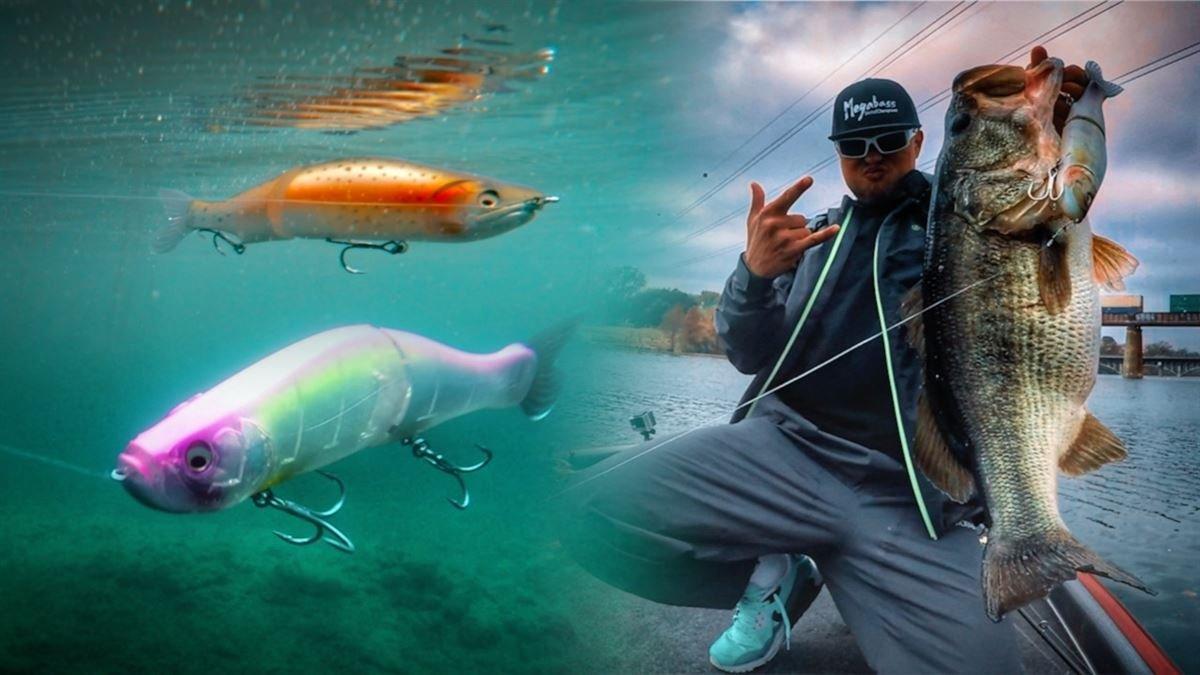 3 Proven Methods for Fishing Glide Baits That Produce Giant Bass