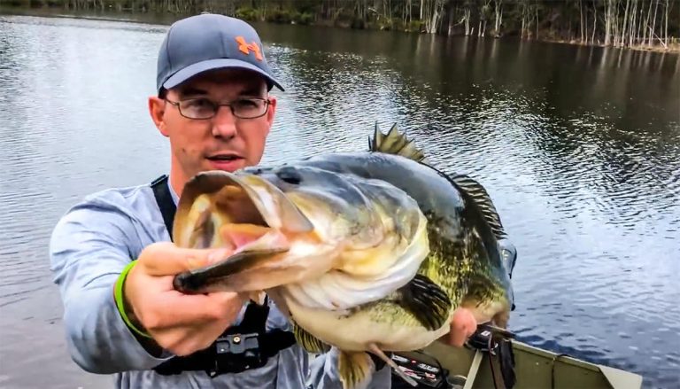 Caught on Video: Angler Catches Huge Double-Digit Bass