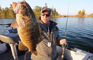 Topwater Tips for Bass