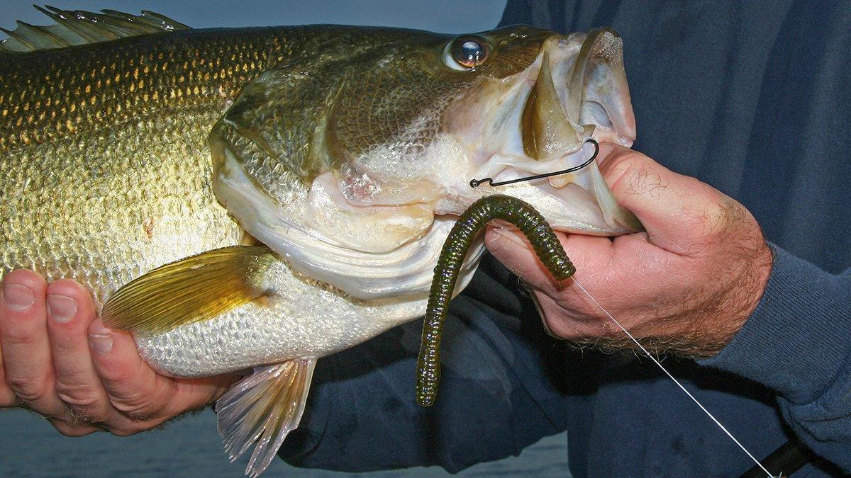 For North Carolina anglers, winter means downsizing bass baits
