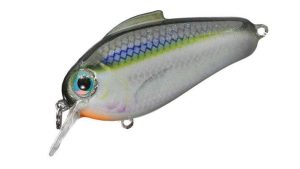 Bill Lewis Lures Echo 1.75 Crankbait Review