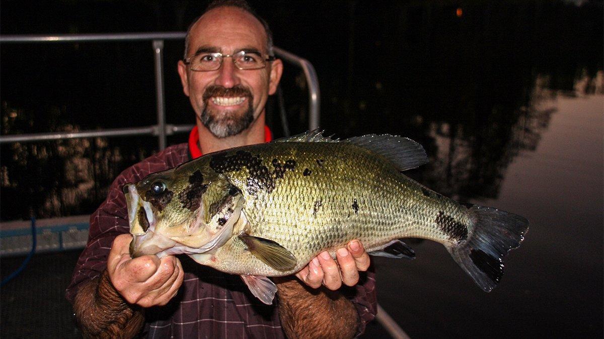 Why Do Some Bass Have Black Splotches? - Wired2Fish