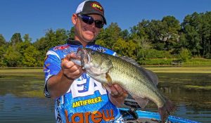 Catch More Bass with These Simple Grub Tricks