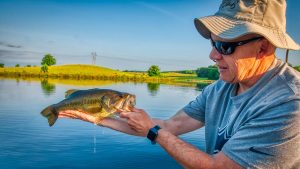 5 Summer Bass Fishing Lures for Under $7