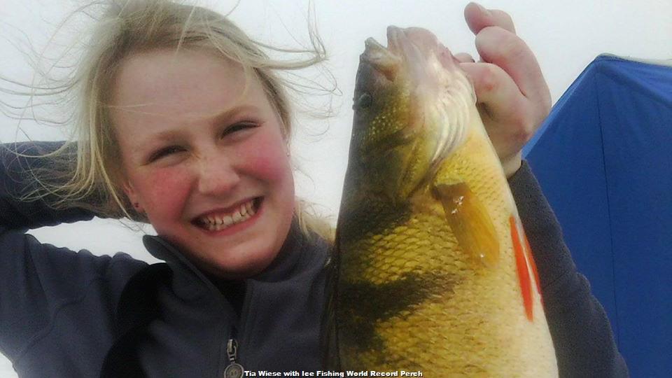 12-Year-Old's Record Yellow Perch Certified - Wired2Fish