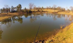 5 Small Water Tips for Bigger Fishing