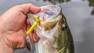 5 Fall Bass Fishing Baits with Small Blades that Catch Bass