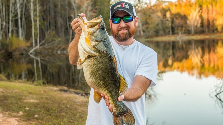 The Importance of Deep Water in Fall Bass Fishing