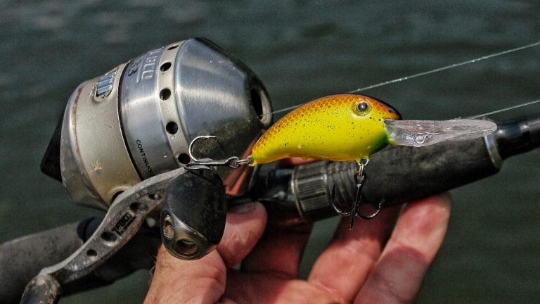 5 Must-Have Beginner Baits for Bass Fishing