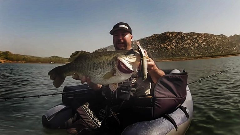 Video of 14 Pound Bass Catch from Float Tube