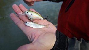 Cranking Winter Bass with Timmy Horton