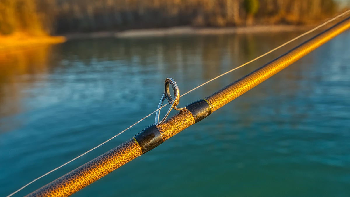 Favorite Rush Casting Rod Review - Wired2Fish