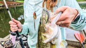 5 Must-Have Beginner Baits for Bass Fishing