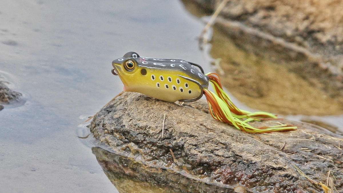 Zman 2.25 Inch Popping Leap Frogz Soft Body Fishing Lure - Old School Frog