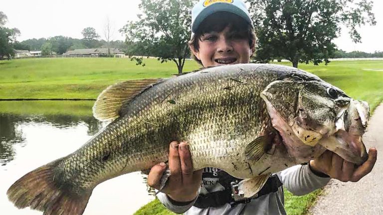 Top Viral Bass Fishing Content of 2020