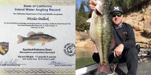 World Record Spotted Bass Now California State Record