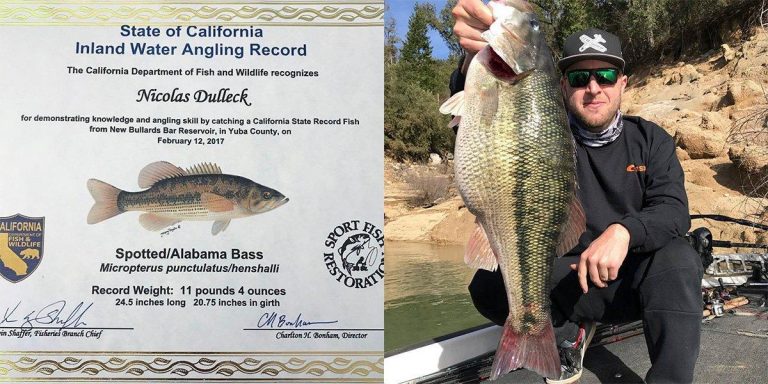 World Record Spotted Bass Now California State Record