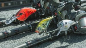 Swindle’s Theory on Why Gaudy Crankbait Colors Excel in Spring