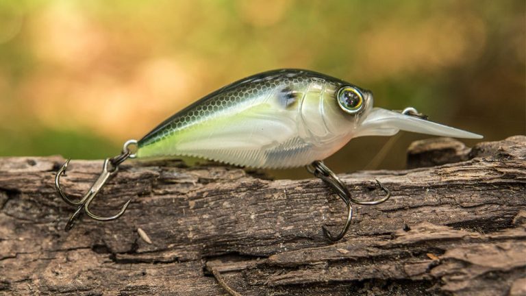 Yo-Zuri 3DB Series 1.5 MR Crankbait Review