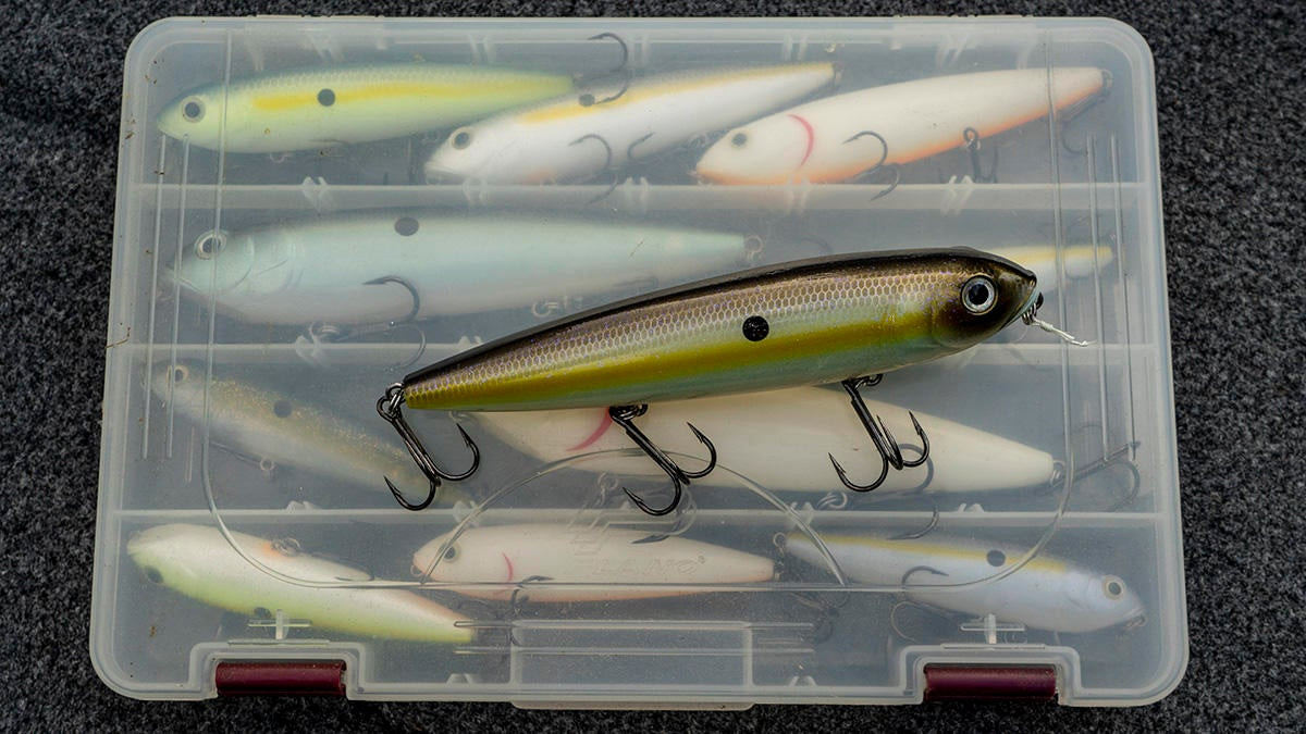 Strike King Filler Worm Review - Wired2Fish