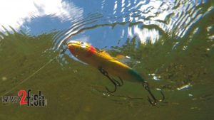 Fish Topwater Walking Lures for Offshore Bass