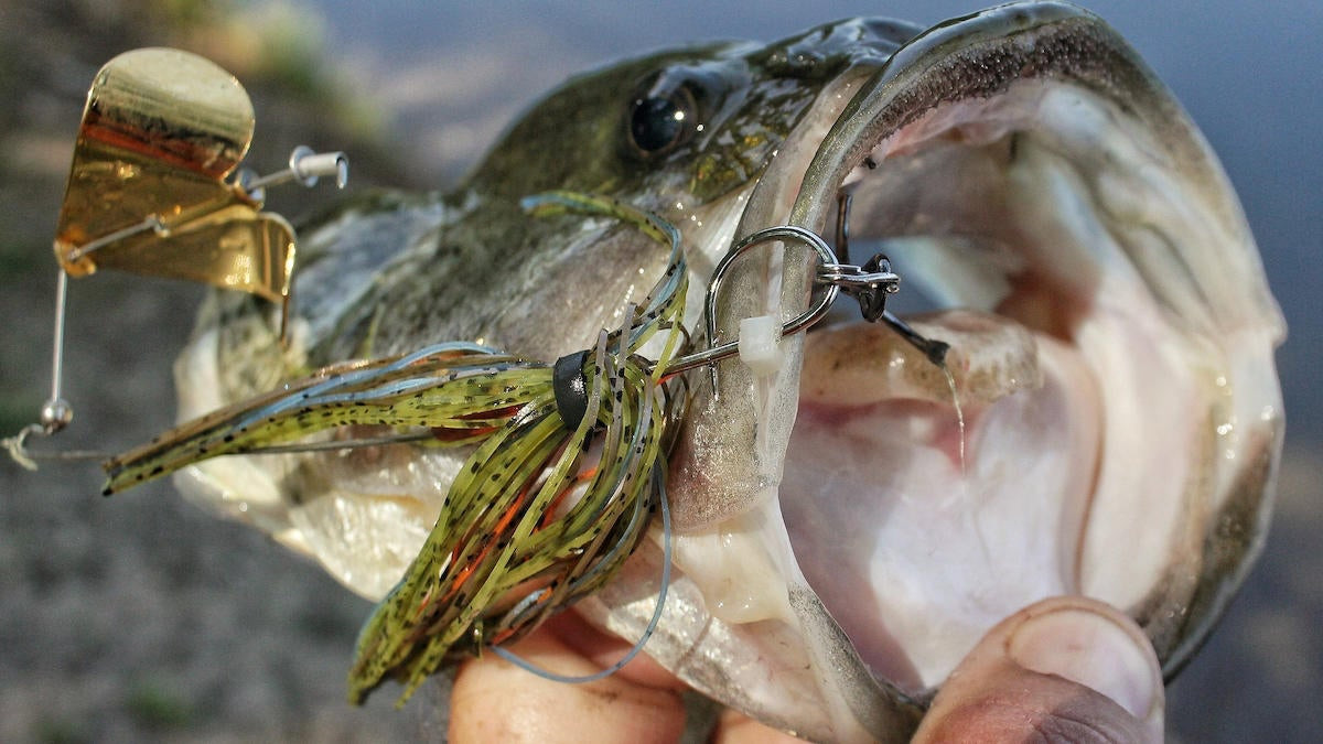 10 Clever Ways to Use Zip Ties in Your Fishing Boat - Wired2Fish