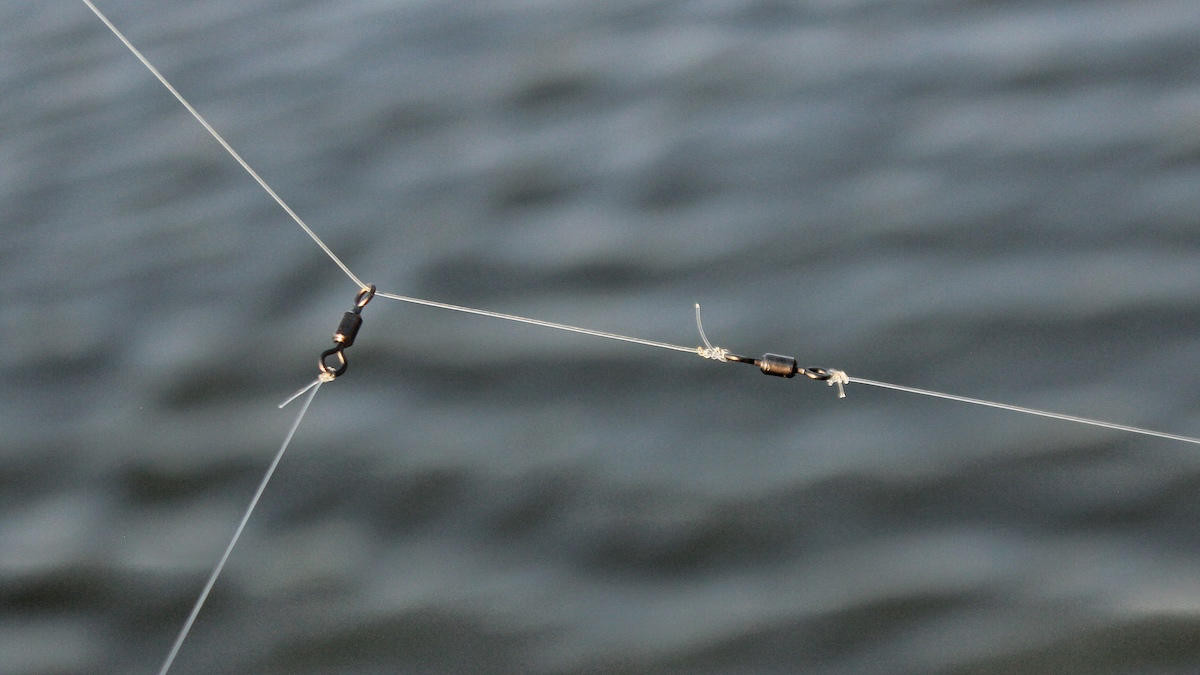 zoom-bait-fluke-fishing-hook – The Minimalist Fisherman