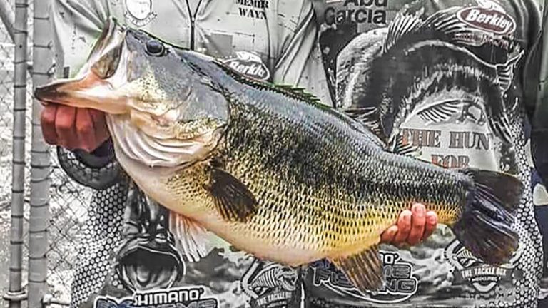 Biologists: World-Record Bass Potential in South African Reservoir