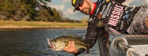 Why Prespawn Bass Move Shallow