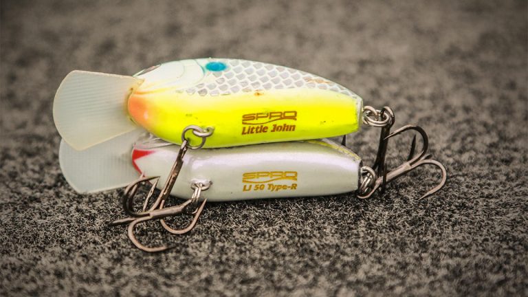5 Must-Find Fall Bass Fishing Crankbait Targets