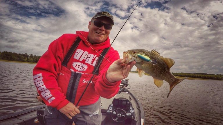 Why Crankbaits Outperform Most Lures for Fall Bass on Rivers