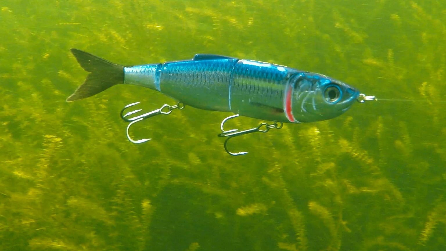 Jointed Swimbaits: How And When To Fish - Wired2Fish