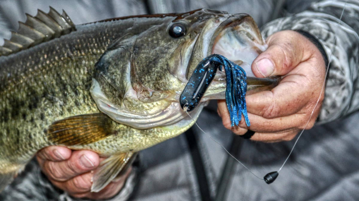 Proven Baits for Tough Bass Fishing Conditions - Wired2Fish