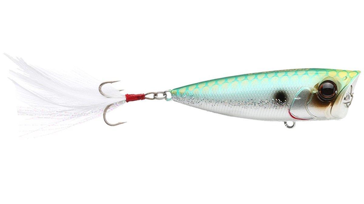 Evergreen One's Bug Popper Review - Wired2Fish