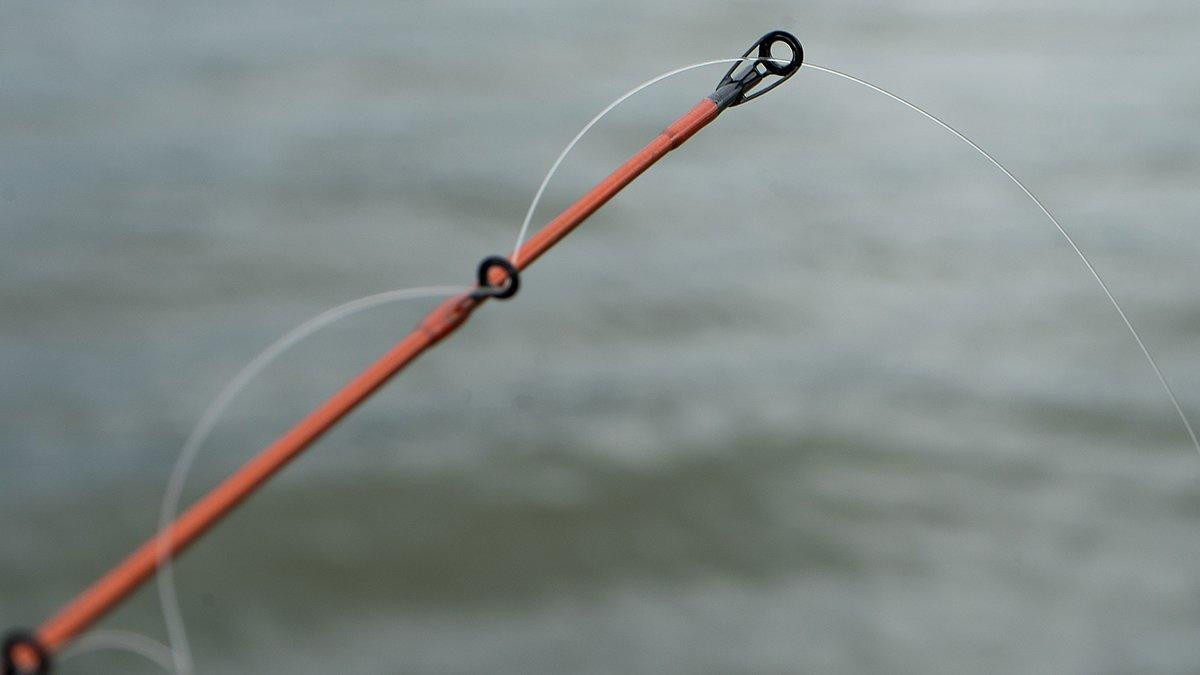 COMPARISON – NEW KastKing Spirale Fishing Rod vs KastKing Speed
