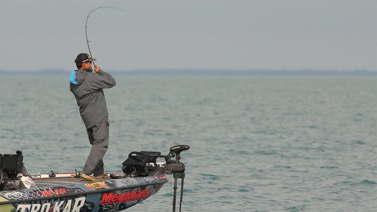How to Catch More Bass with Forward-Looking Technology