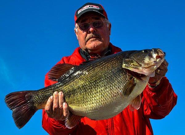 Angler Catches 16-pound Texas Bass