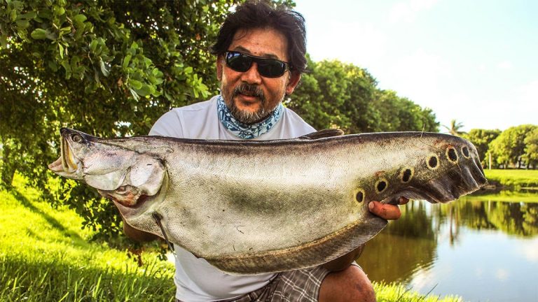 Bucket List Fishing Trip: Head South for Tropical Exotics