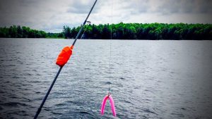 Fishing Science: Fight Stress on Bass
