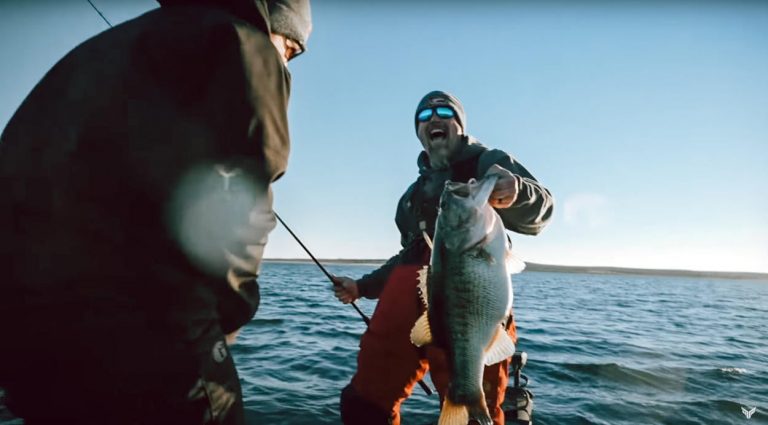 A 60-Pound Limit of Bass Caught on Film