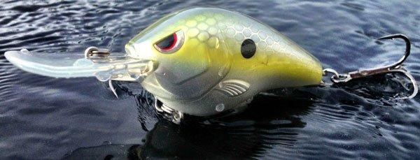Spro “Russ Lane” Fat Papa 55 Tackle Review